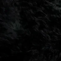 Close-up of dark, fluffy black fur with wavy, soft strands. The dense surface features subtle highlights and shadows—reminiscent of the plush texture found in a Natural White Shorn Sheepskin Rug.