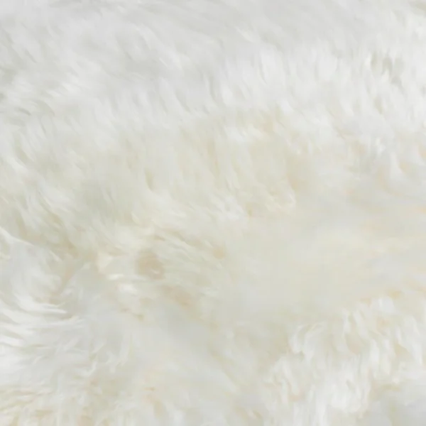 White 6 Pelt Sheepskin Rug