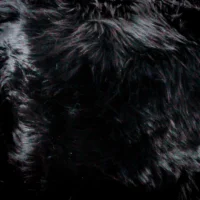 Close-up image of the Midnight Black Round Sheepskin Cushioned Seat Pad, showing soft, wavy, and glossy dark black fur. Light reflections highlight each strand, creating subtle tone variations for a rich, luxurious appearance.