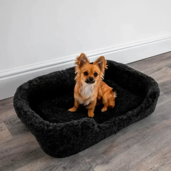 midnight Black merino wool dog bed