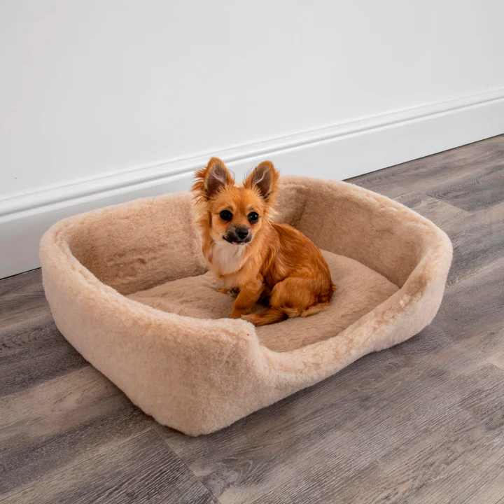 Cappuccino Merino Wool Dog Bed