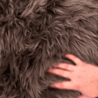 Taupe Sheepskin Rug - Simply Sheepskin