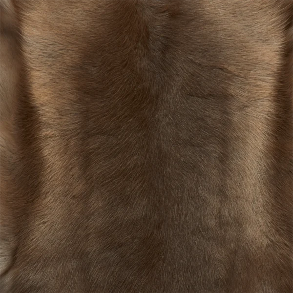 Close-up of the Dark Coloured Reindeer Hide reveals fine, short, slightly wavy hair and a soft texture with subtle brown variations and natural highlights, reflecting its healthy, well-groomed quality.