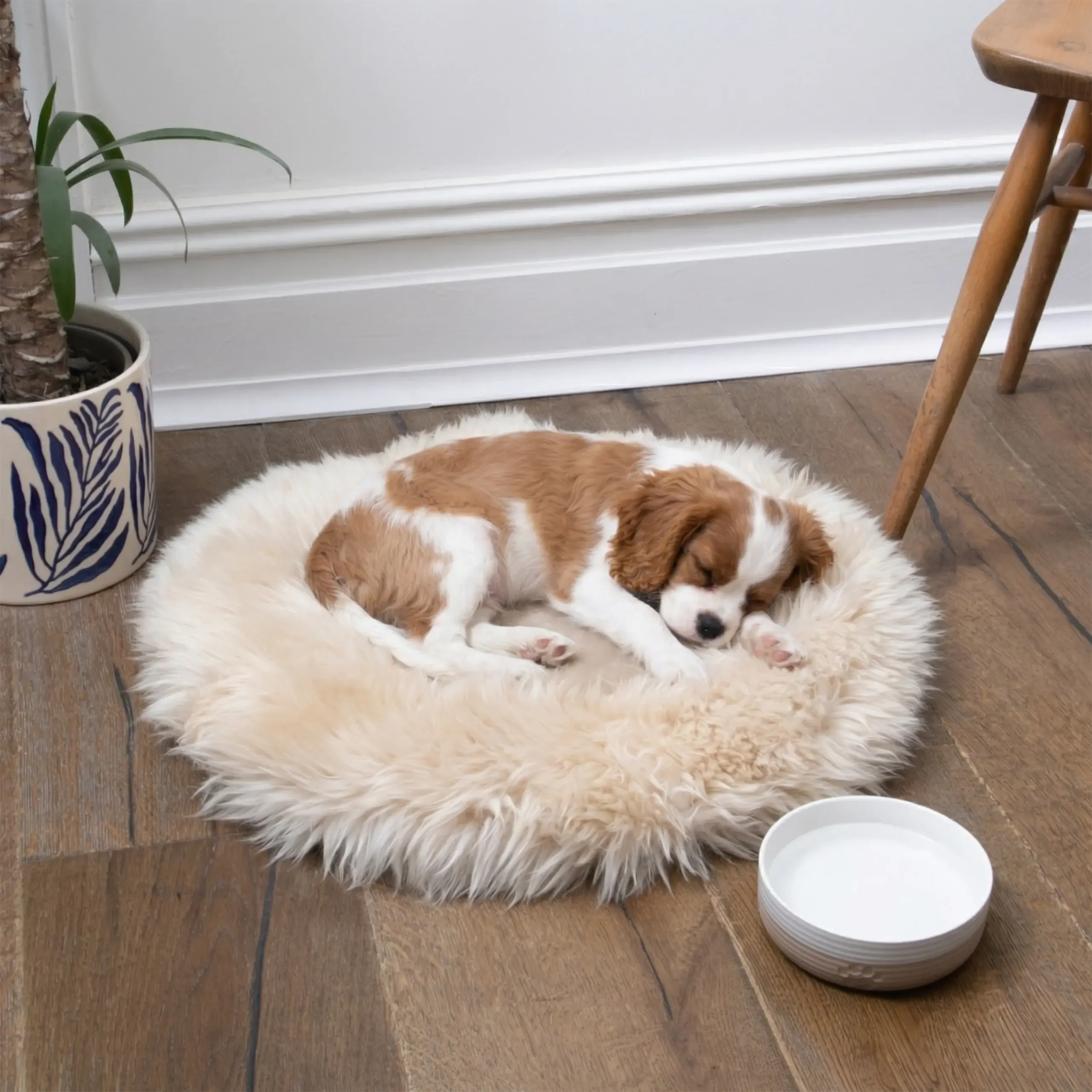 Small Sheepskin Pet Bed - 50cm - Image 2