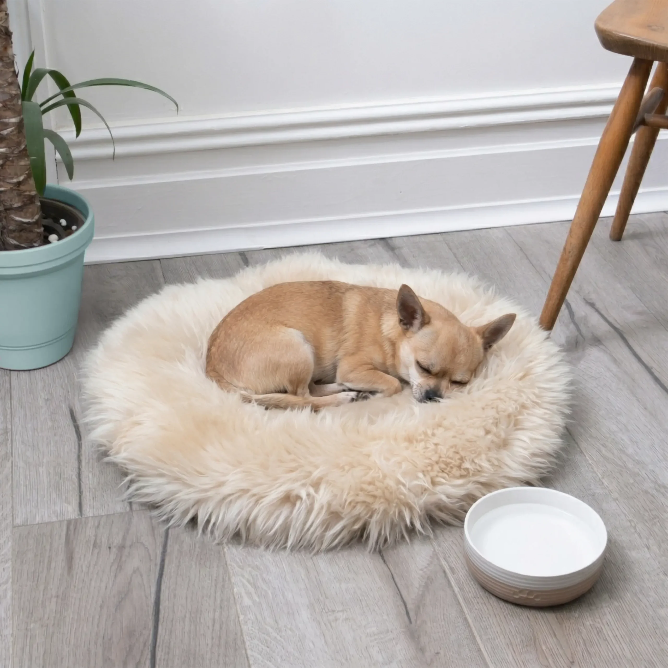 Small Sheepskin Pet Bed - 50cm - Image 6