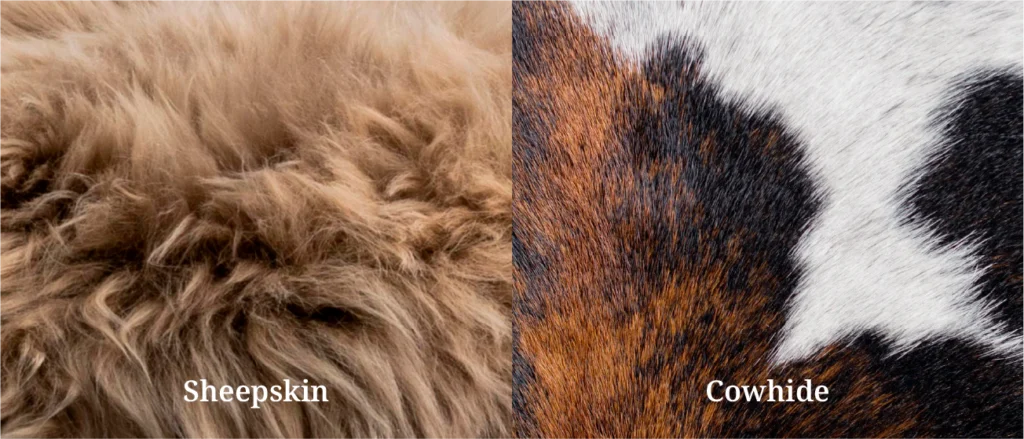 cowhide rug natural pattern living room interior styling